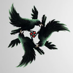 Collection image for: Shadow Wind Clan