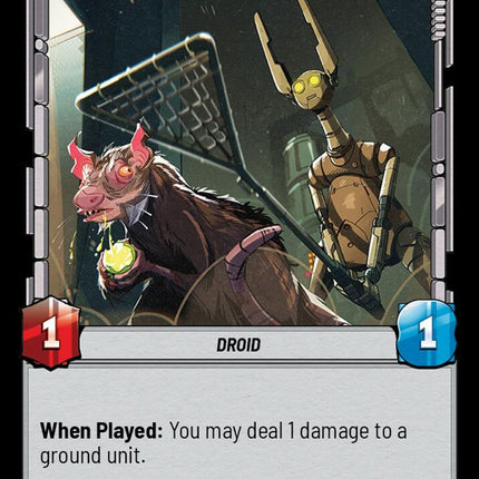 ASH – LEP Ratcatcher – 259