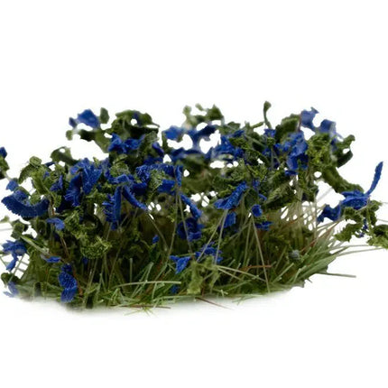 Gamergrass wild flowers and Shrubs