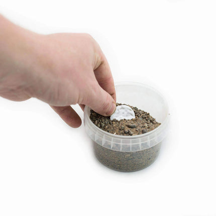 Base Ready Wasteland Soil