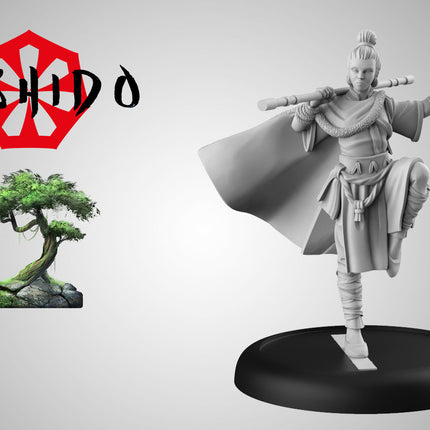 Hiko, Traveling Monk (GCTBTR048)