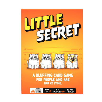 Little Secret
