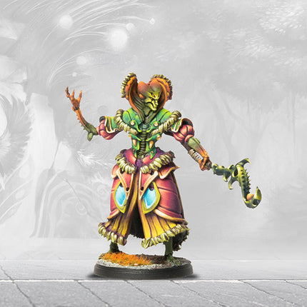 Weaver Courts: Taosidhe (pronounced Dow-She)
