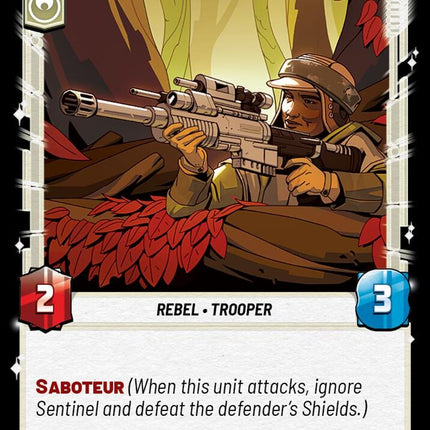 SEC – Rebel Pathfinder – 250