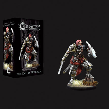 Hundred Kingdoms: Seasoned Veteran