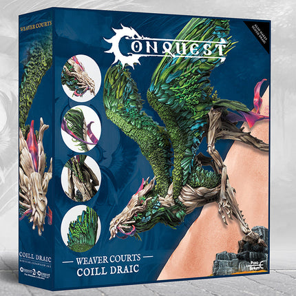 Weaver Courts: Coill Draic (pronounced Koi-leh Dry-Guh)