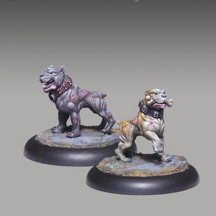 Pit Dogs