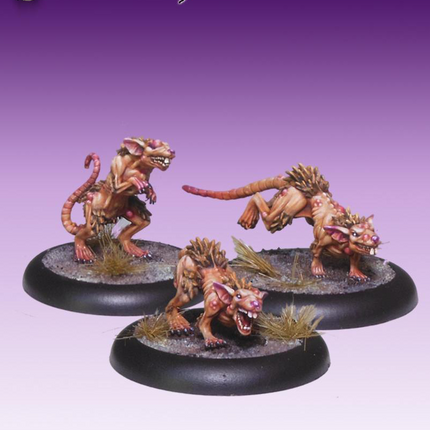 Plague Rats