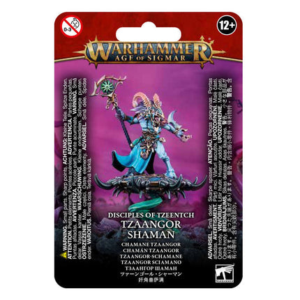 TZEENTCH ARCANITES TZAANGOR SHAMAN